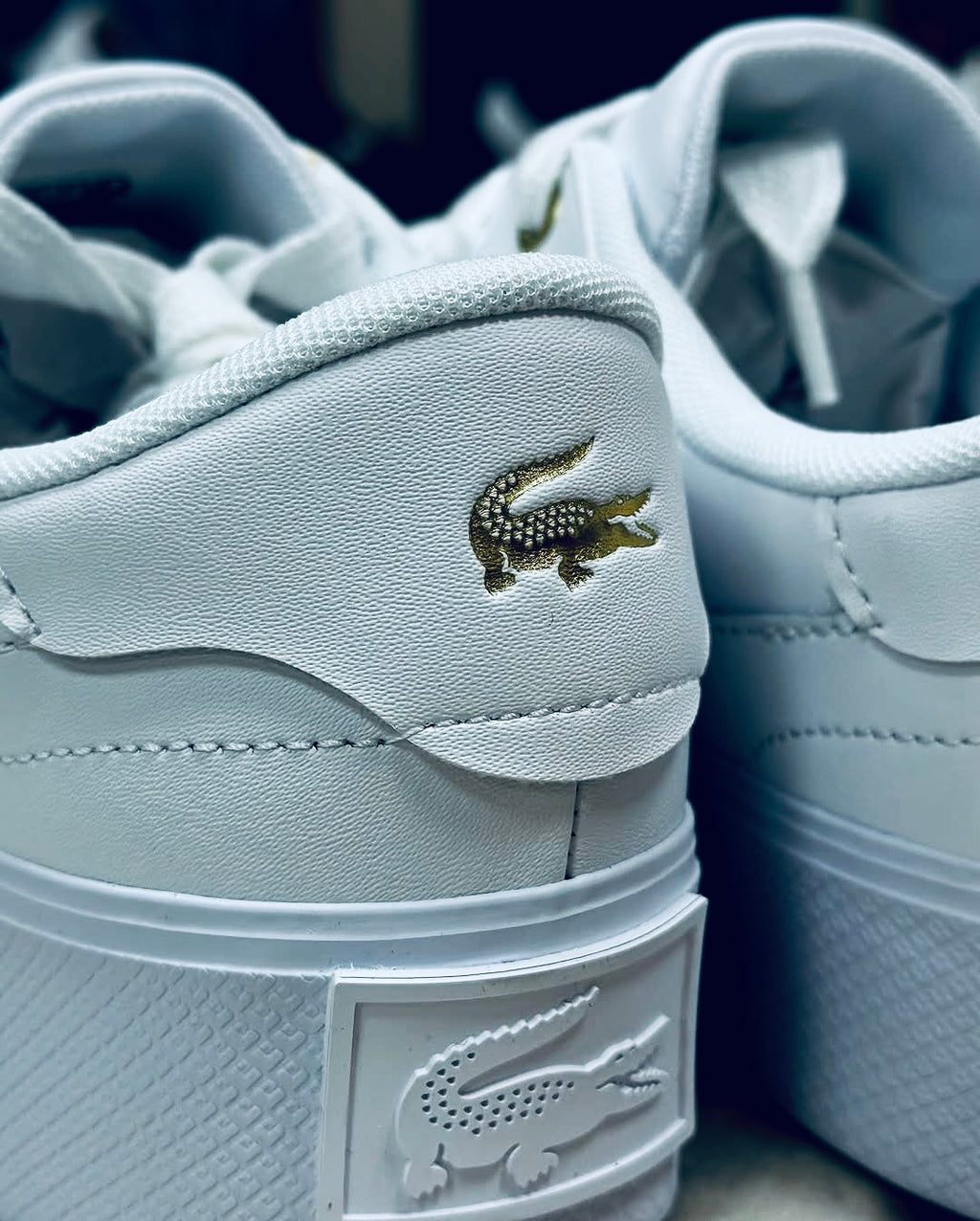 Lacoste Ziane