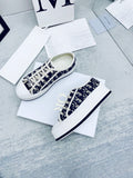 Christian Dior Obliquemotif