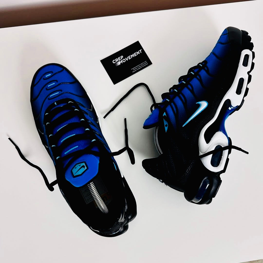 Nike Air Max Plus