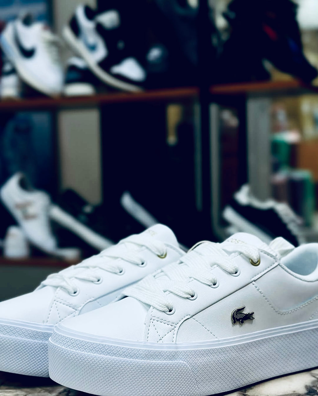Lacoste Ziane