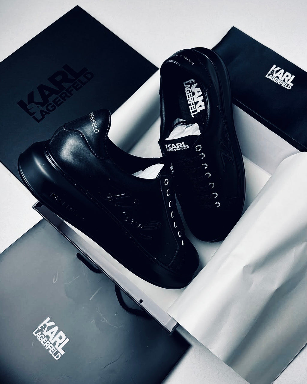 Karl Lagerfeld Iconic